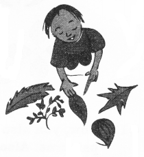 NCERT Solutions for Class 2 Maths Chapter 6 Footprints Q4