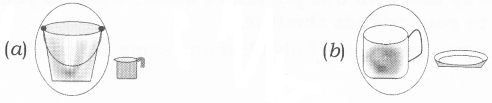 NCERT Solutions for Class 2 Maths Chapter 7 Jugs and Mugs Q9