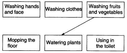 NCERT-Solutions-for-Class-3-EVS-Drop-By-Drop-Q8