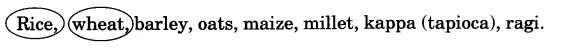 NCERT Solutions for Class 3 EVS Foods We Eat Q12.1