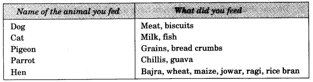 NCERT Solutions for Class 3 EVS Our Friends-Animal Q10