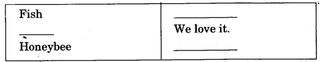 NCERT Solutions for Class 3 EVS Our Friends-Animal Q8.1