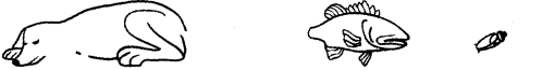 NCERT Solutions for Class 3 EVS Poonams Day Out Q5