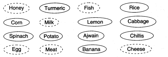 NCERT Solutions for Class 3 EVS The Story of Food Where Does What We Eat Come From Q1.1