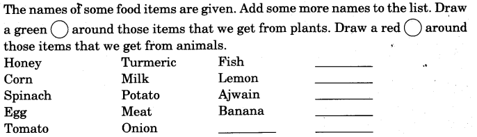 NCERT Solutions for Class 3 EVS The Story of Food Where Does What We Eat Come From Q1