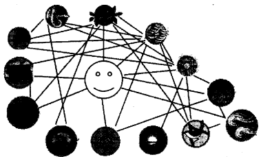 NCERT-Solutions-for-Class-3-EVS-Web-of-Life-Q2