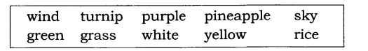 NCERT-Solutions-for-Class-3-English-Unit-5-The-Balloon-Man-Q2