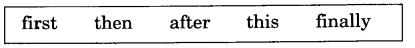 NCERT Solutions for Class 3 English Unit 5 The Yellow Butterfly Lets Write