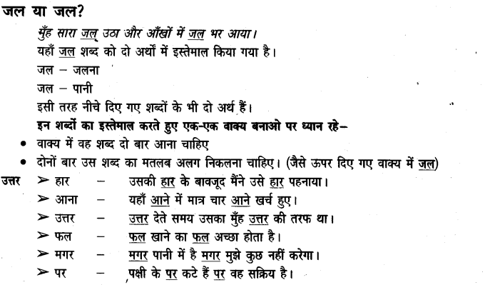 NCERT Solutions for Class 3 Hindi Chapter-13 मिर्च का मज़ा 2
