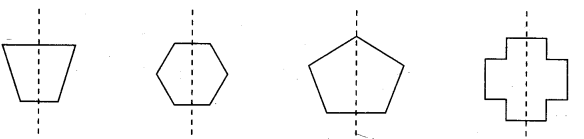 NCERT Solutions for Class 3 Mathematics Chapter-1 Where To Look From Mirror Halves Q2