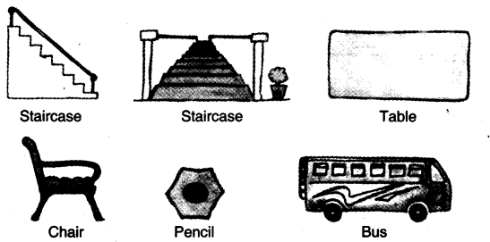 NCERT Solutions for Class 3 Mathematics Chapter-1 Where To Look From Q3B