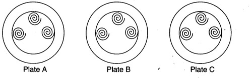 NCERT Solutions for Class 3 Mathematics Chapter-12 Can We Share Try These Now Q1.1