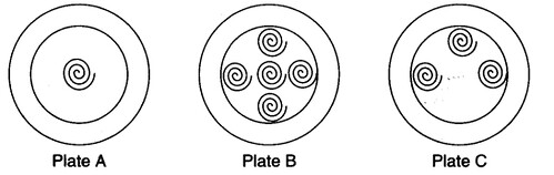 NCERT-Solutions-for-Class-3-Mathematics-Chapter-12-Can-We-Share-Try-These-Now-Q1