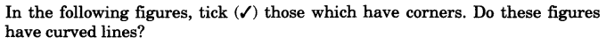 NCERT Solutions for Class 3 Mathematics Chapter-5 Shapes and Designs Activity 3