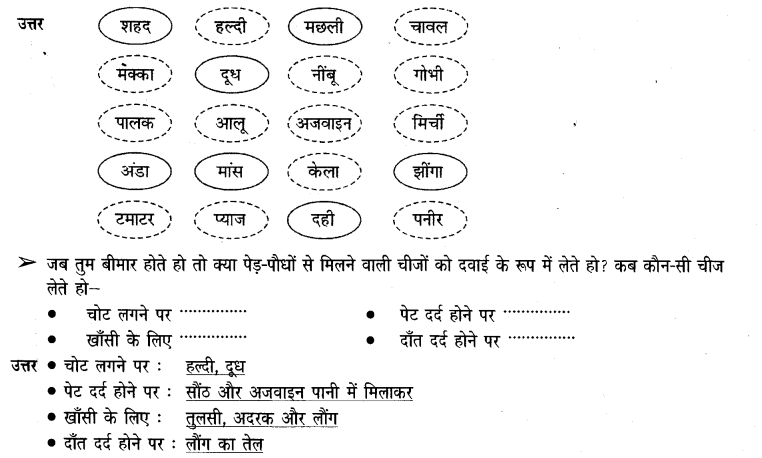 NCERT Solutions for Class 3 पर्यावरण अध्ययन Chapter-14 कहां से अाया ,किसने पकाया 4
