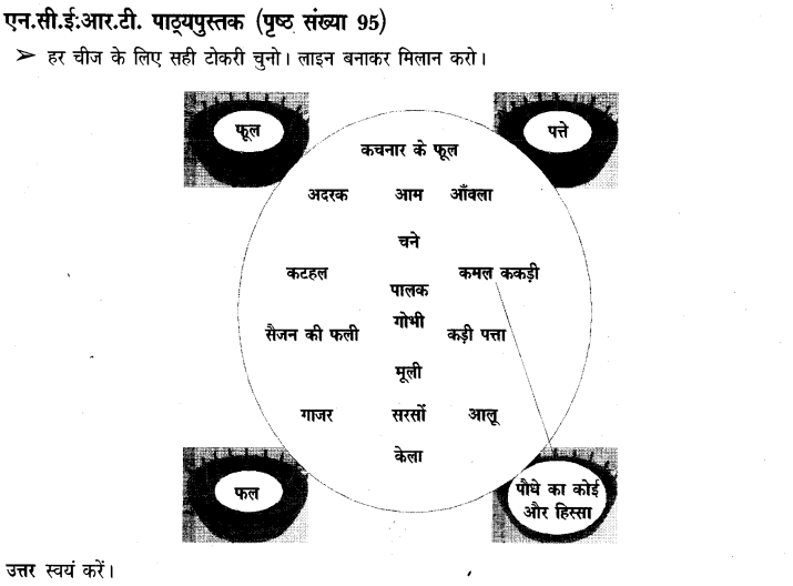 NCERT Solutions for Class 3 पर्यावरण अध्ययन Chapter-14 कहां से अाया ,किसने पकाया 5