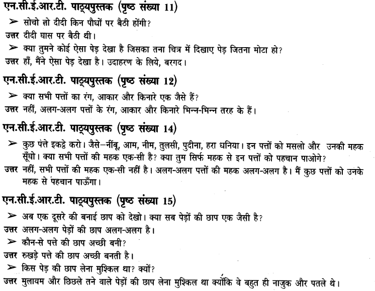 NCERT-Solutions-for-Class-3-पर्यावरण-अध्ययन-Chapter-2-पाैधों-की-परी-1