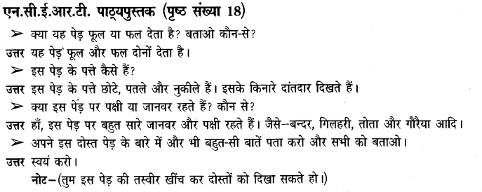 NCERT Solutions for Class 3 पर्यावरण अध्ययन Chapter-2 पाैधों की परी 3