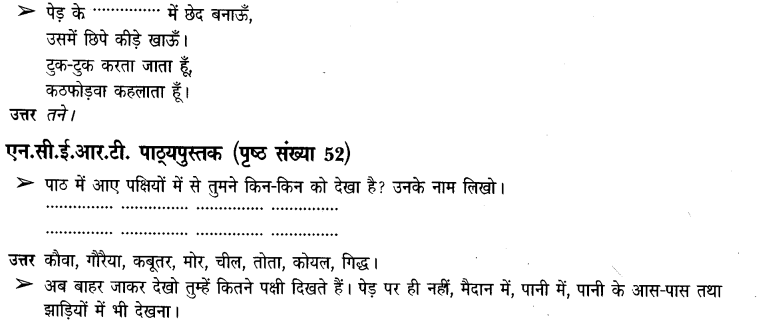 NCERT Solutions for Class 3 पर्यावरण अध्ययन Chapter-8 पंख फैलाएें उड़ते जाएं 3