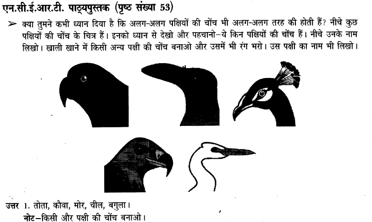 NCERT Solutions for Class 3 पर्यावरण अध्ययन Chapter-8 पंख फैलाएें उड़ते जाएं 5