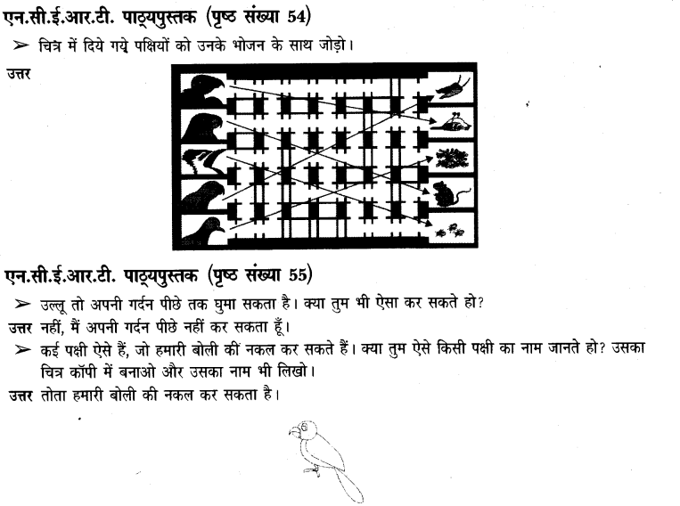 NCERT Solutions for Class 3 पर्यावरण अध्ययन Chapter-8 पंख फैलाएें उड़ते जाएं 6