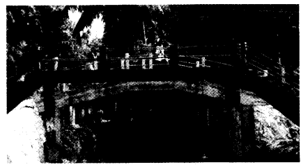 NCERT Solutions for Class 4 EVS Chapter 1 Going To School Page 3 Q1