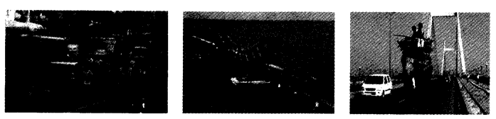 NCERT Solutions for Class 4 EVS Chapter 1 Going To School Page 3 Q10