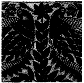 NCERT Solutions for Class 4 EVS Chapter 11 Valley Of Flowers Page 84 Q8