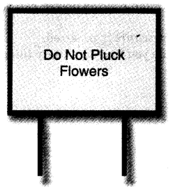 NCERT Solutions for Class 4 EVS Chapter 11 Valley Of Flowers Page 87 Q1