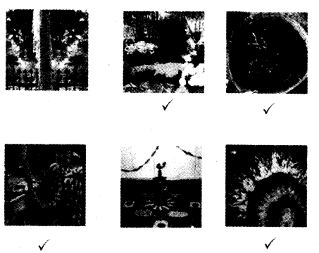 NCERT Solutions for Class 4 EVS Chapter 11 Valley Of Flowers Page 93 Q4