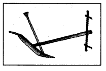 NCERT Solutions for Class 4 EVS Chapter 14 Basvas Farm Page 117 Q1
