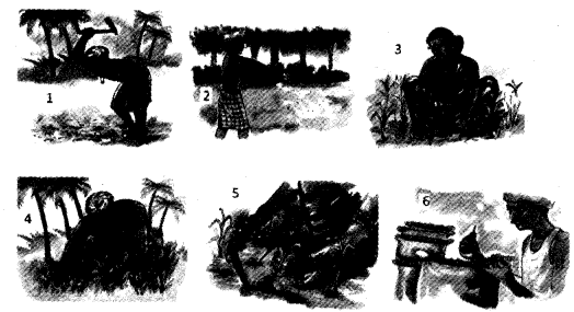 NCERT Solutions for Class 4 EVS Chapter 14 Basvas Farm Page 117 Q2.1