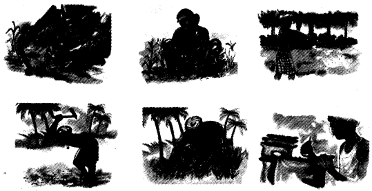 NCERT Solutions for Class 4 EVS Chapter 14 Basvas Farm Page 117 Q2