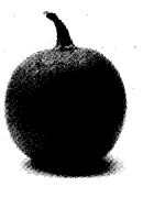 NCERT Solutions for Class 4 EVS Chapter 15 From Market To Home Page 124 Q3