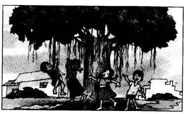 NCERT Solutions for Class 4 EVS Chapter 19 Abdul In The Garden Page 161 Q2