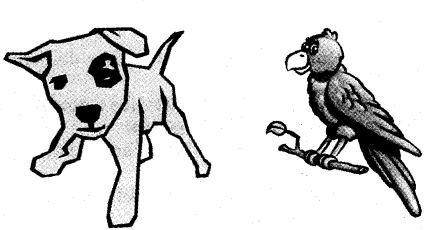 NCERT Solutions for Class 4 EVS Chapter 2 Ear To Ear Page 13 Q12