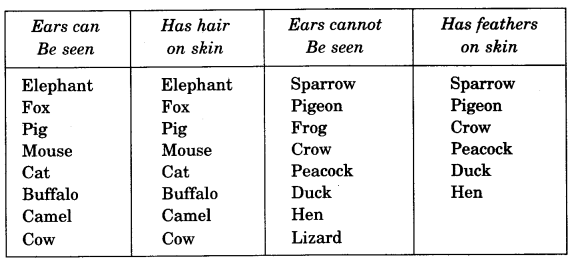 NCERT Solutions for Class 4 EVS Chapter 2 Ear To Ear Page 13 Q2.1