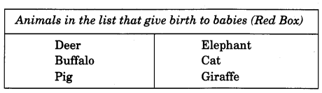 NCERT Solutions for Class 4 EVS Chapter 2 Ear To Ear Page 13 Q6