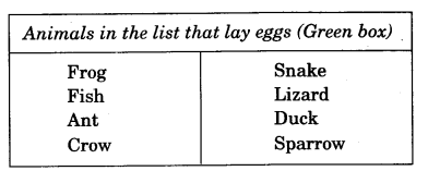 NCERT Solutions for Class 4 EVS Chapter 2 Ear To Ear Page 13 Q7