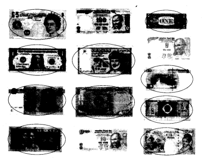NCERT Solutions for Class 4 EVS Chapter 24 Home And Abroad Page 195 Q16