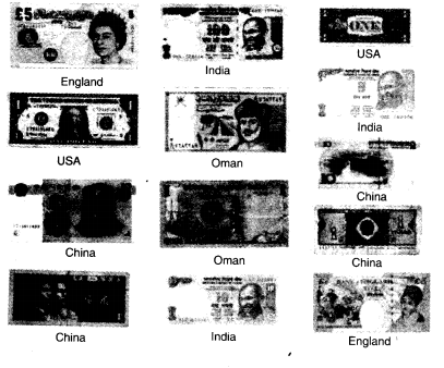 NCERT Solutions for Class 4 EVS Chapter 24 Home And Abroad Page 195 Q17