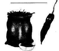 NCERT Solutions for Class 4 EVS Chapter 25 Spicy Riddles Page 199 Q1