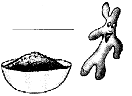 NCERT Solutions for Class 4 EVS Chapter 25 Spicy Riddles Page 199 Q2