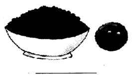NCERT Solutions for Class 4 EVS Chapter 25 Spicy Riddles Page 199 Q3
