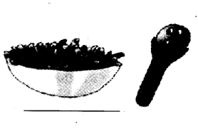 NCERT Solutions for Class 4 EVS Chapter 25 Spicy Riddles Page 199 Q6
