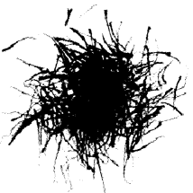 NCERT Solutions for Class 4 EVS Chapter 25 Spicy Riddles Page 201 Q1