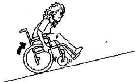 NCERT Solutions for Class 4 EVS Chapter 27 Chuskit Goes To School Page 215 Q10