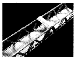 NCERT Solutions for Class 4 EVS Chapter 27 Chuskit Goes To School Page 215 Q11