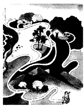 NCERT Solutions for Class 4 EVS Chapter 27 Chuskit Goes To School Page 215 Q13