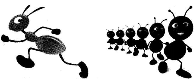 NCERT Solutions for Class 4 EVS Chapter 5 Anita And The Honeybees Page 44 Q11